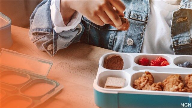 school lunch